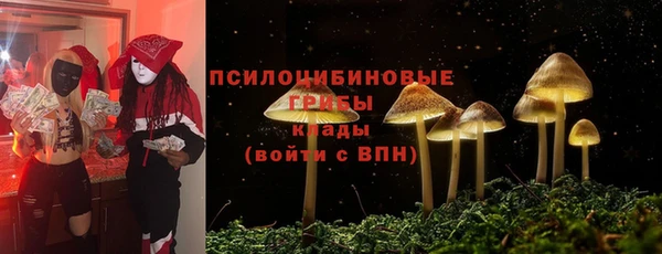 круглые Абаза