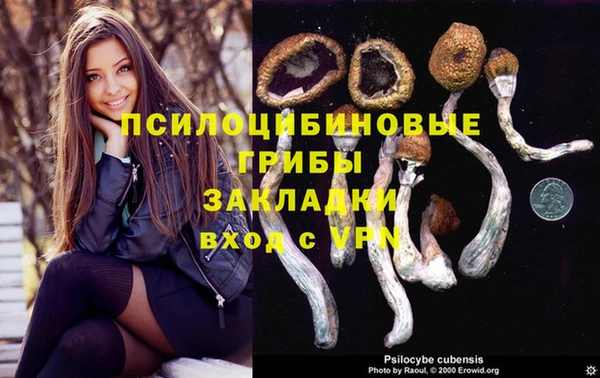 круглые Абаза