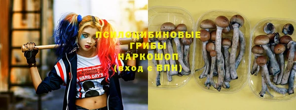 круглые Абаза