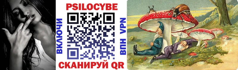 Галлюциногенные грибы Psilocybe  цены   Дивногорск 